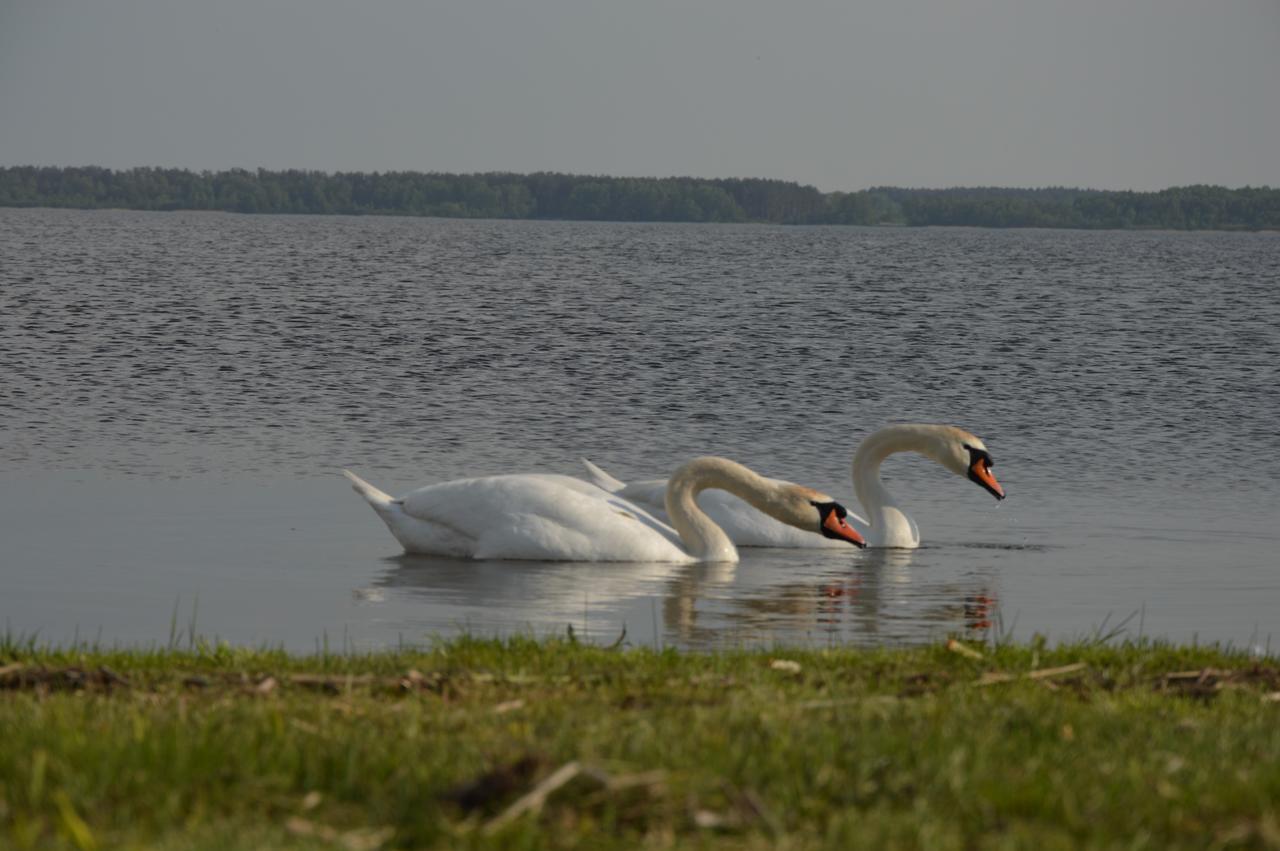 Pulemchanka Pulemets Экстерьер фото